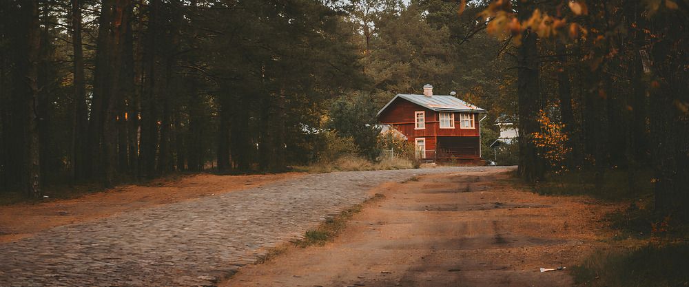 Photograph by Алина Мец