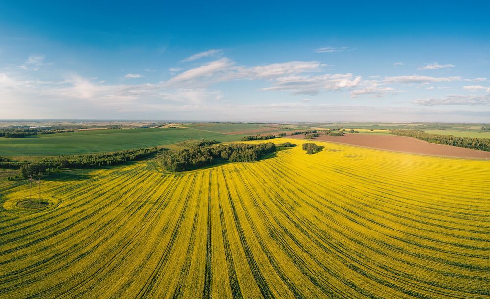 Photograph by Руслан Олинчук