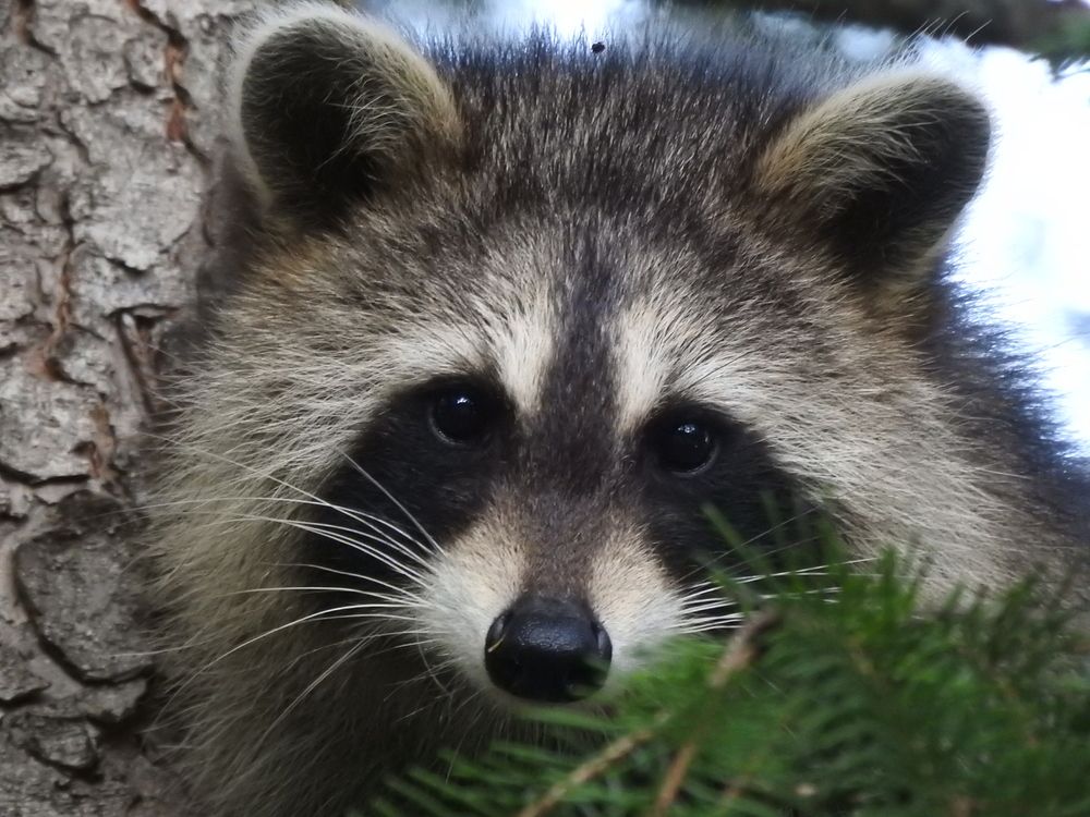 Photograph by Josée Beauchemin