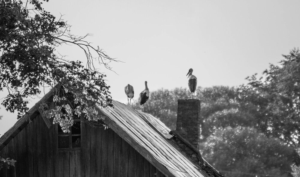 Фотография автора Андрей Меньших