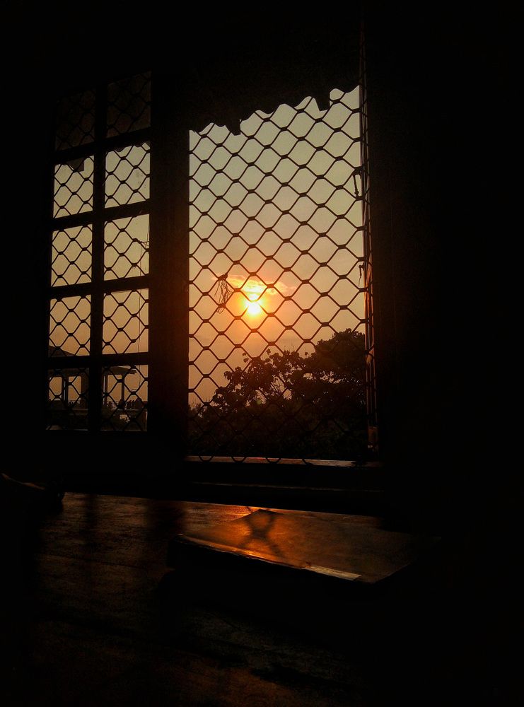 Photo #11975261