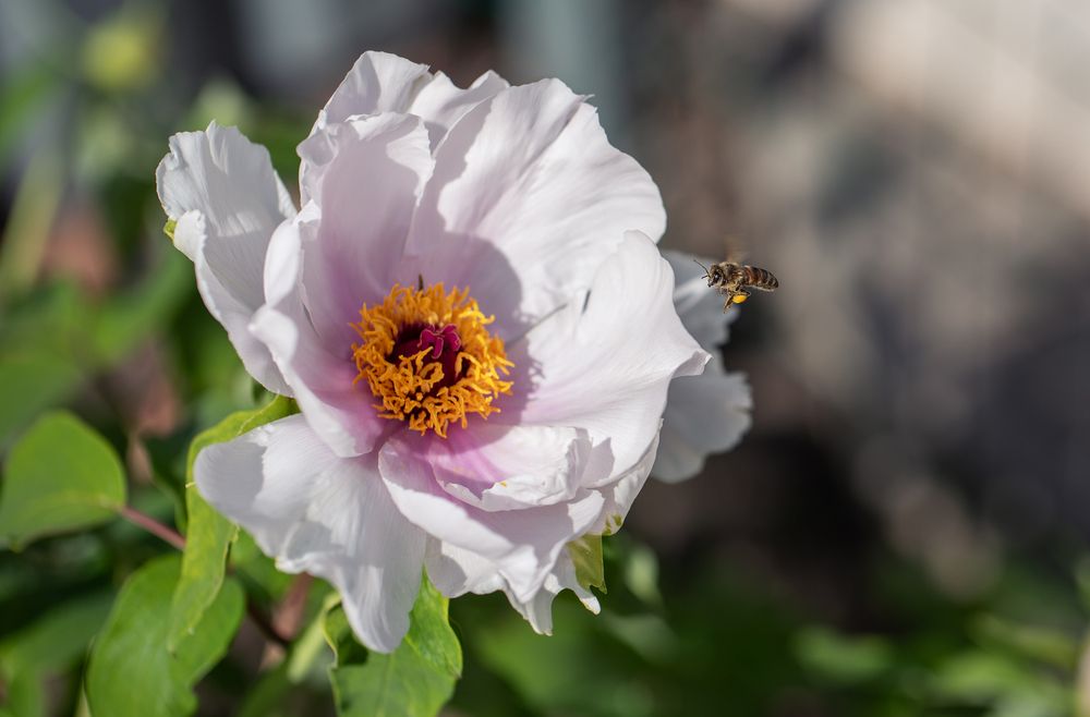 Фотография автора Анна Вигера