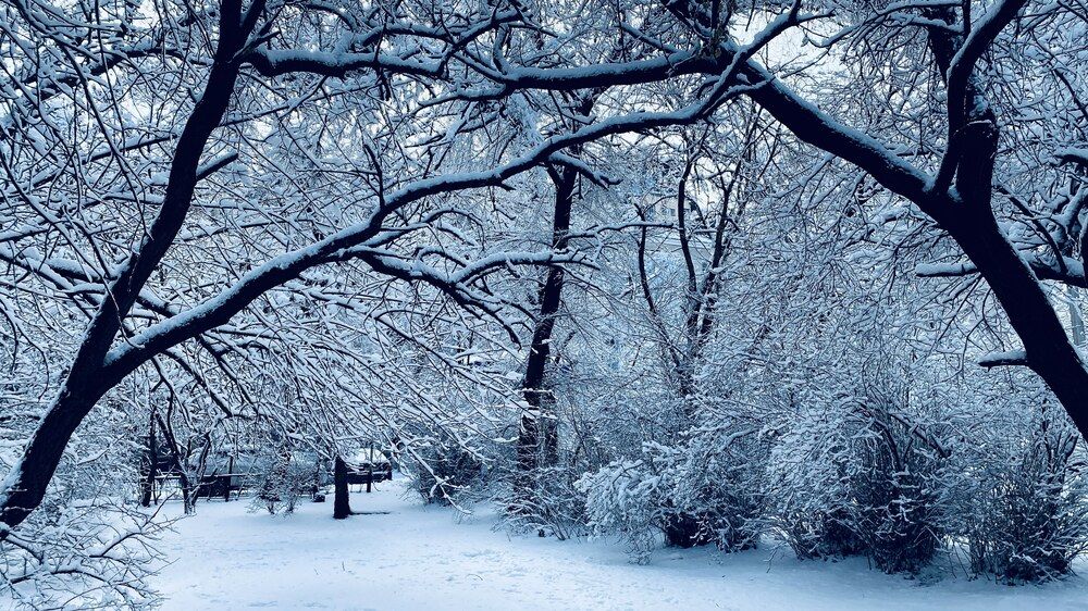 Photograph by Сергей Смирнов