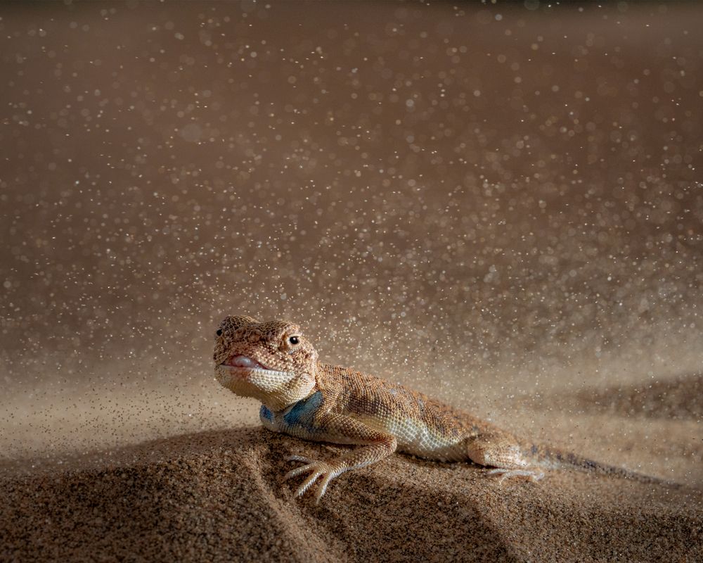 Photograph by Abhisek Bagaria