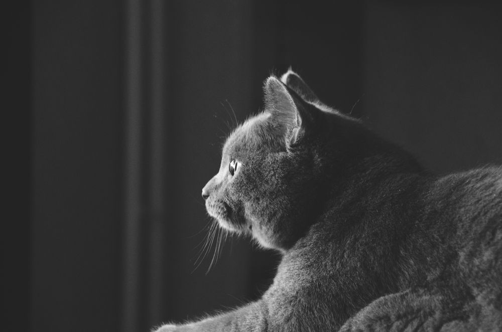 Photograph by Ульяна Бедрицкая