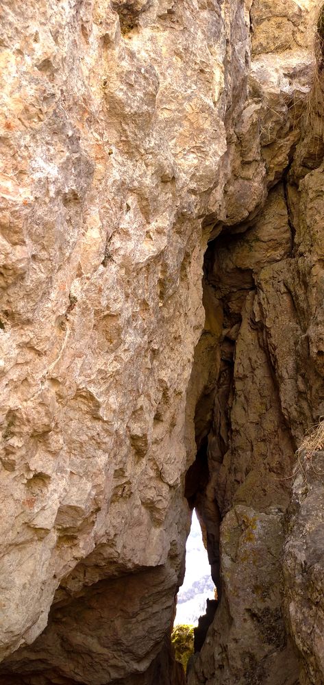 Photograph by Дарья Беляева