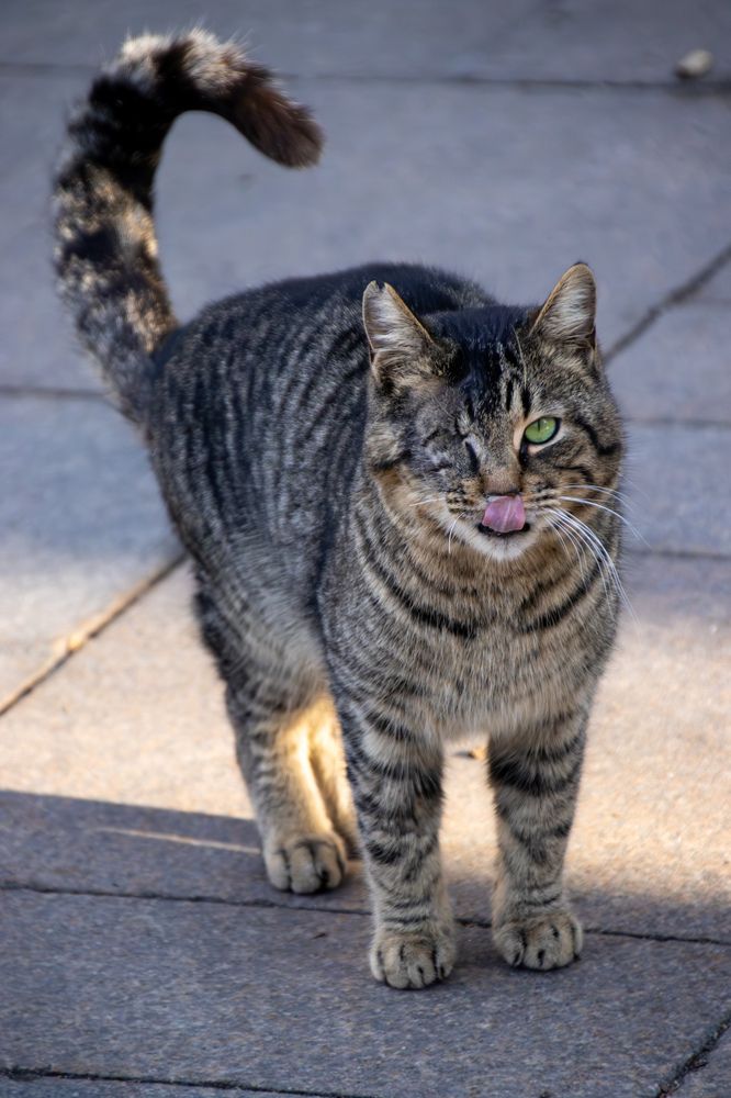 Фотография автора Georgii Eletskikh