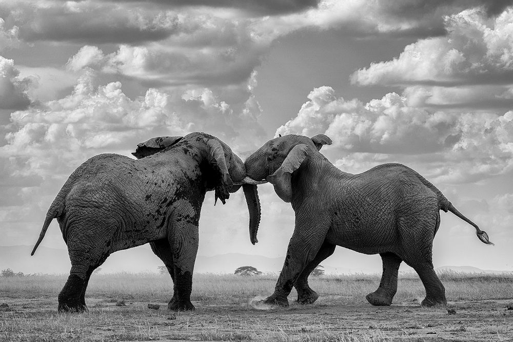 Photograph by Karthick Sridharan