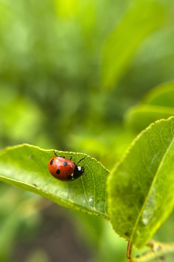 Photograph by Евгения Хализова