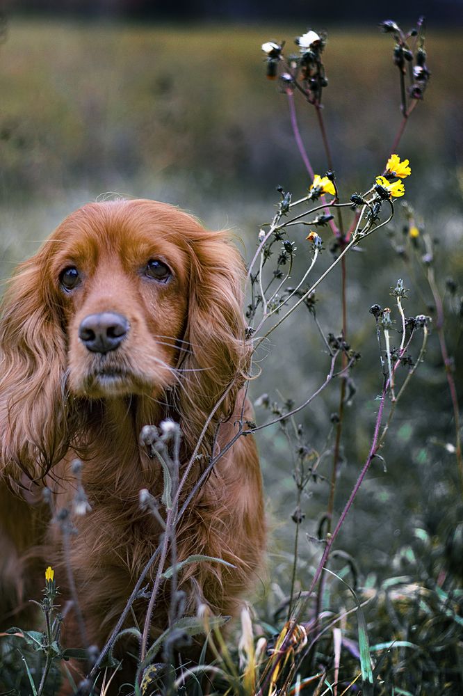 Photograph by Victoria Mogulyan