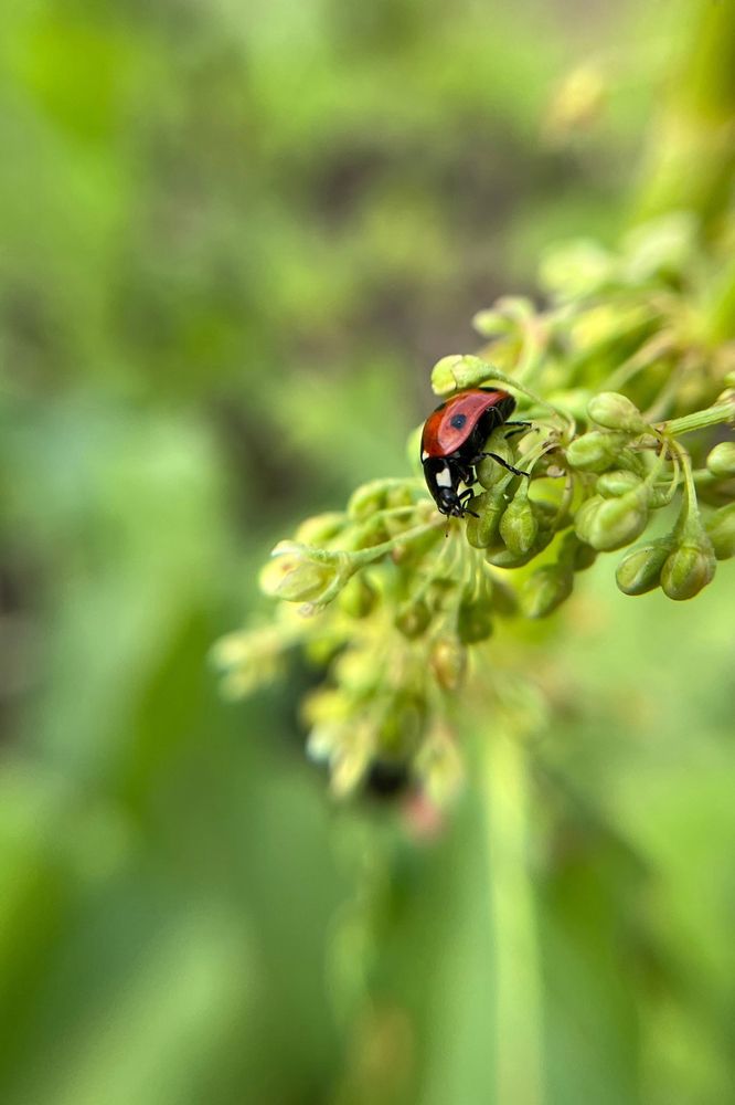 Photograph by Евгения Хализова