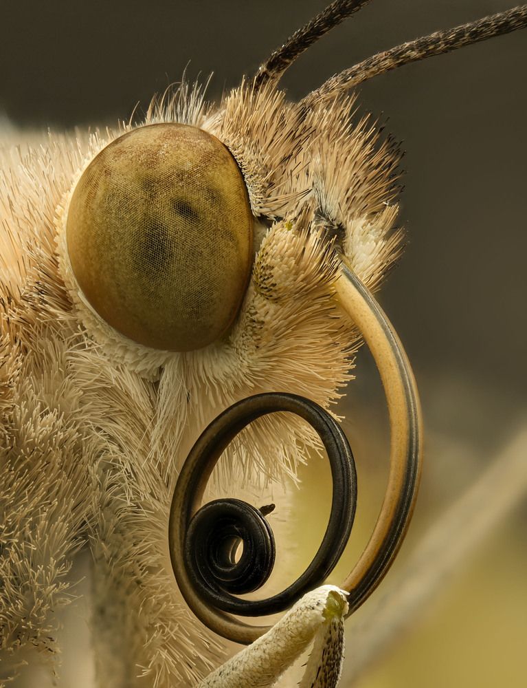 Photograph by Юрий Юрьевич Подгрушный