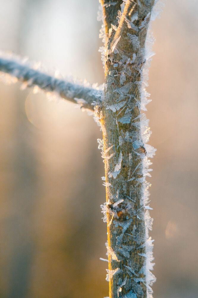 Photograph by Иван Кривоносов