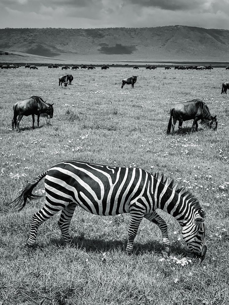 Фотография автора Андрей Болотин