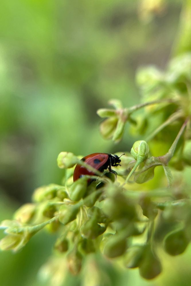 Photograph by Евгения Хализова