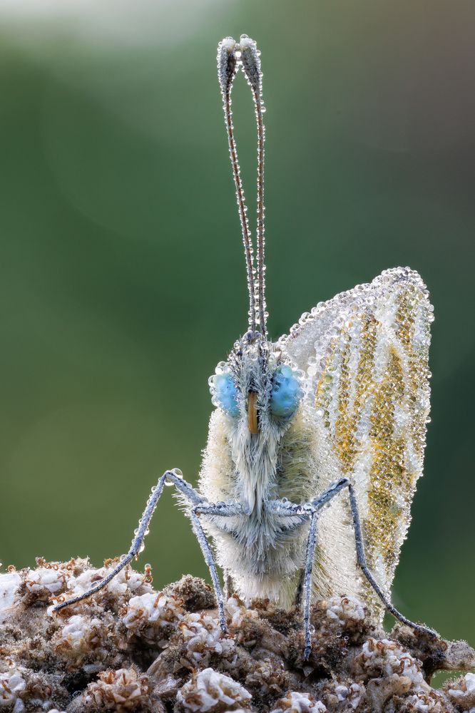 Photograph by Кузнецов Дмитрий