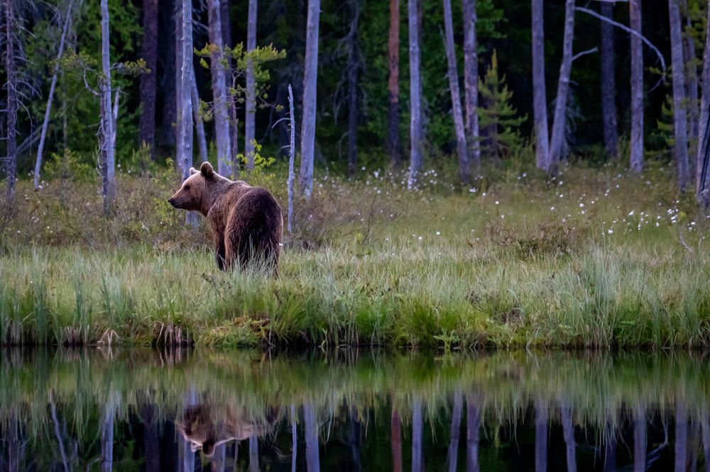 Photograph by Vita Potomova