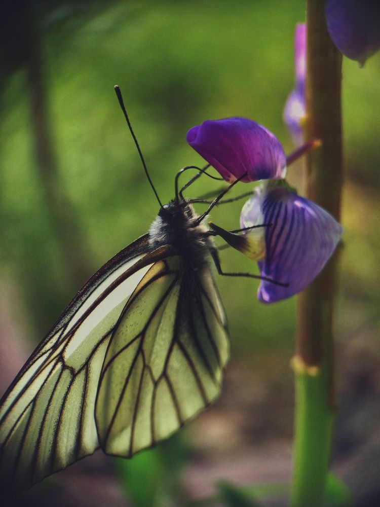 Photograph by Ольга Юминова