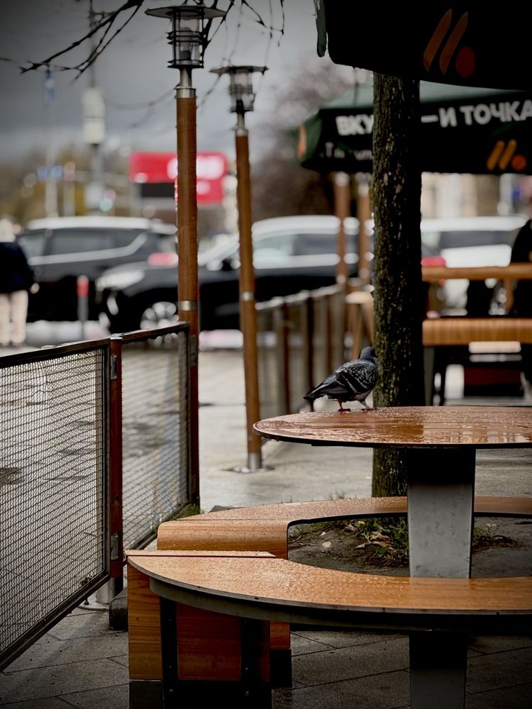 Photograph by Евгений Никонов