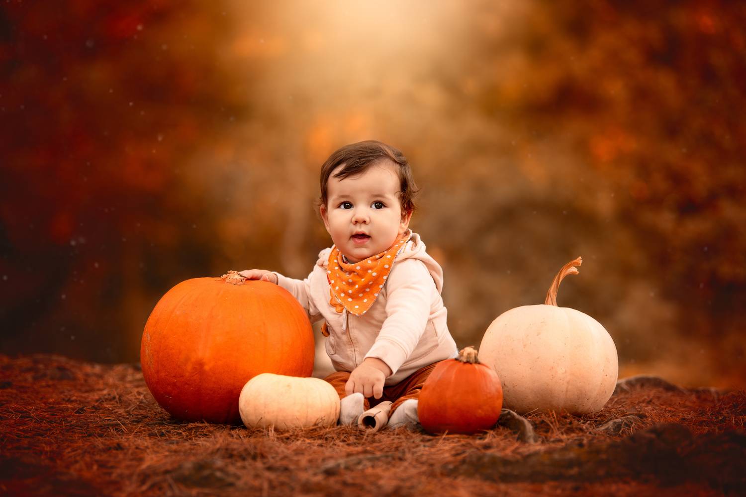 Фотография #11975534