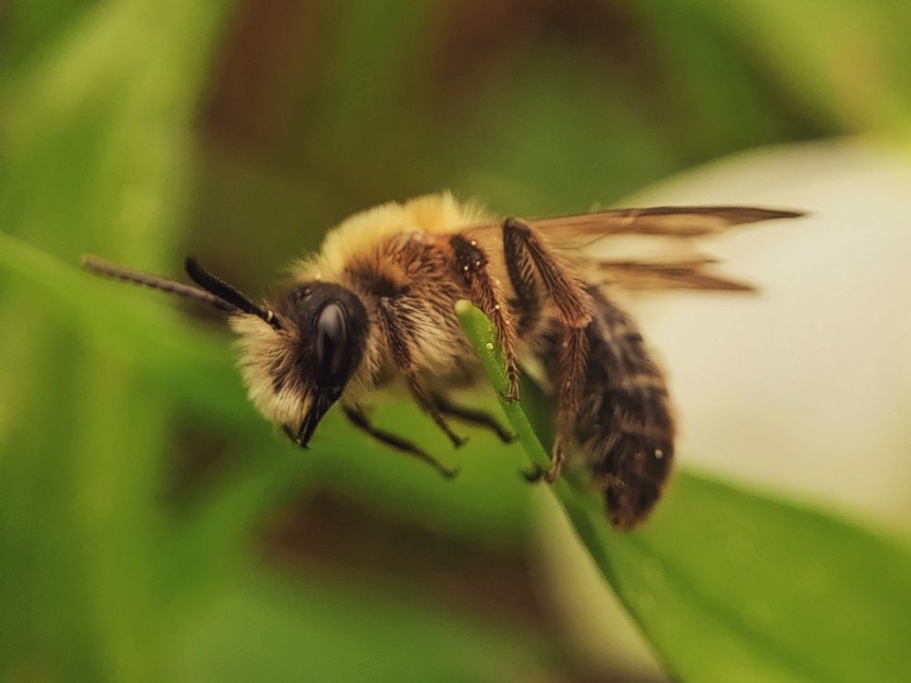 Photograph by Ольга Юминова