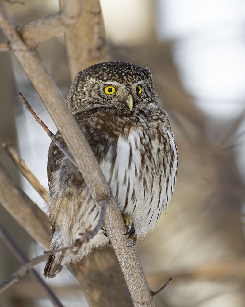 Photograph by Руслан Pl