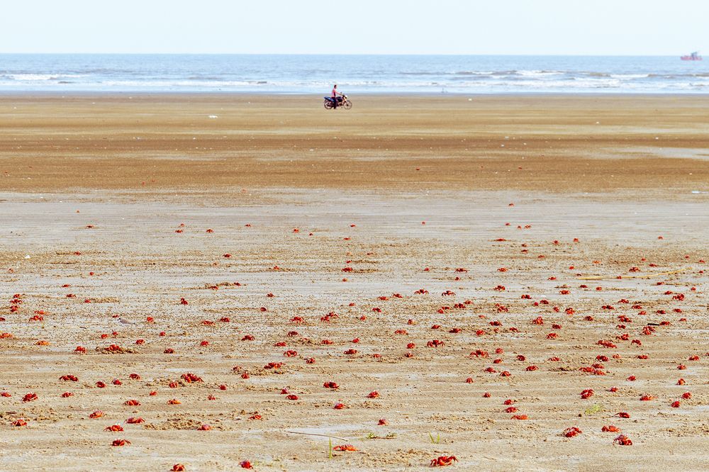 The Red Crab Beach