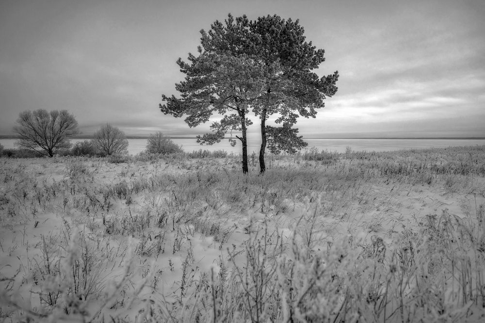 Photograph by Алексей Глухов