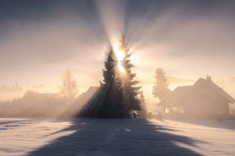 Photograph by Dawid Zawiła