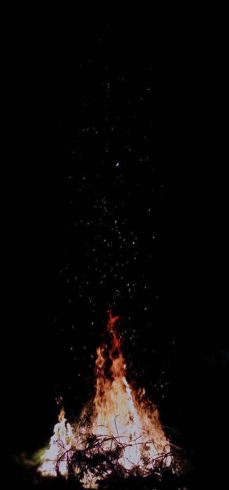 Photograph by Адель Магаева