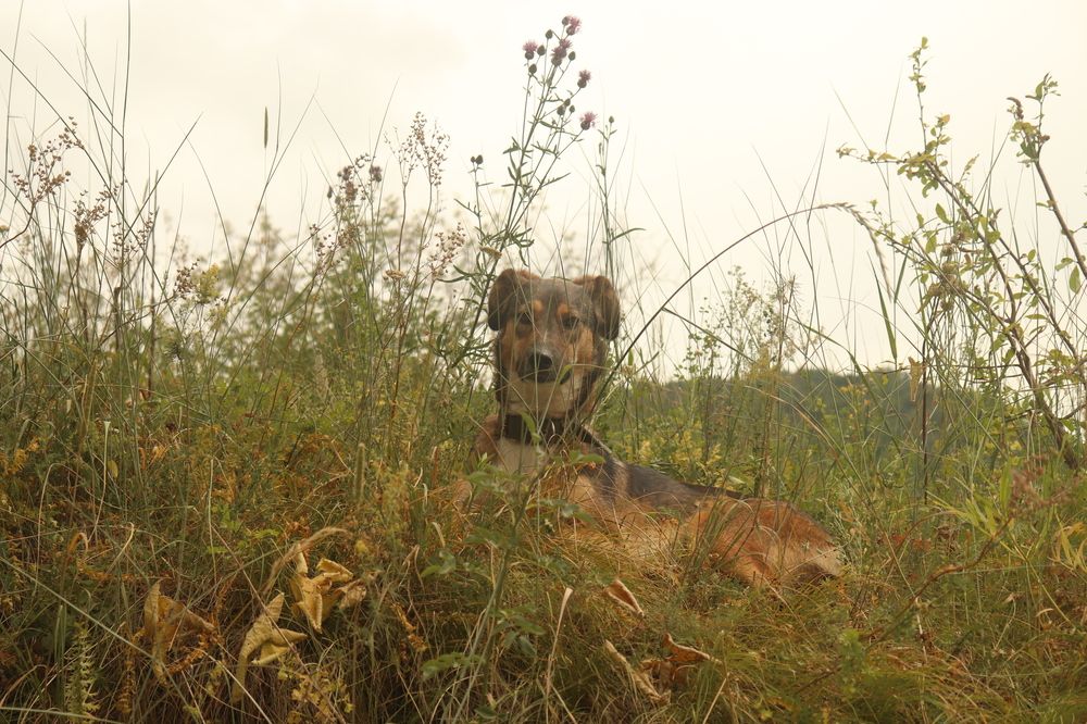 Photograph by Екатерина Колмыченко
