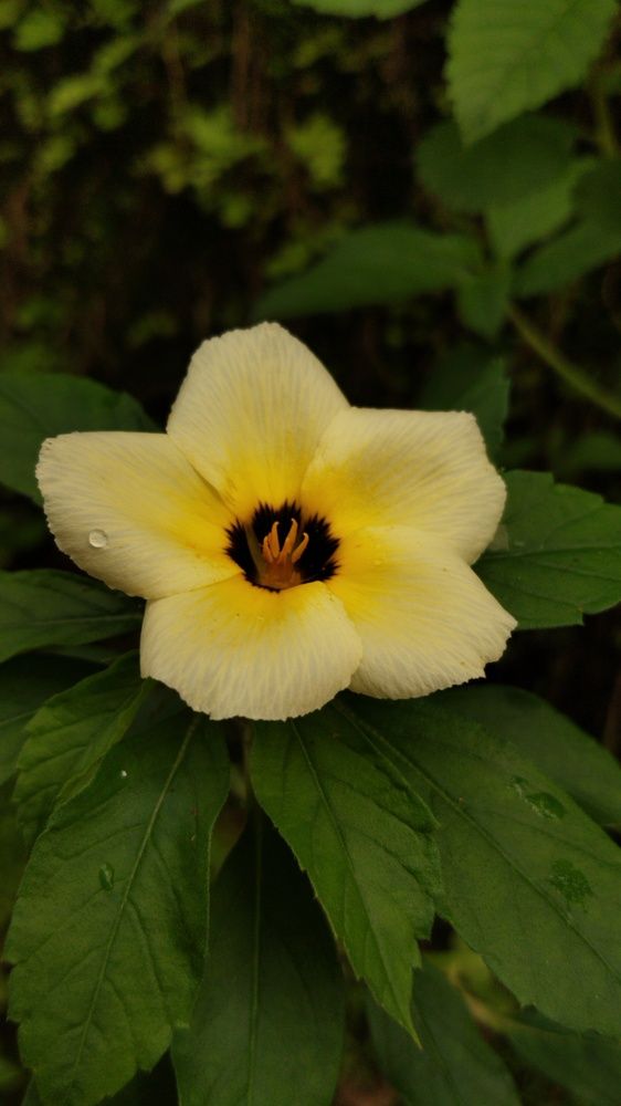 Photograph by Sakthipriya