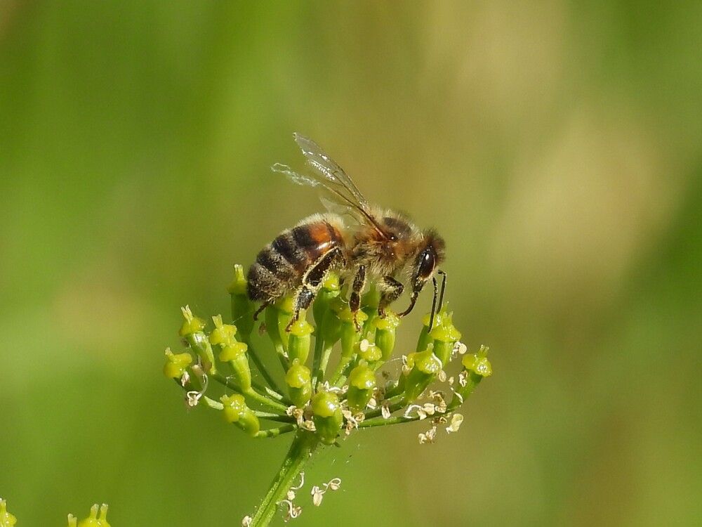 Photograph by Владимир Джерихов