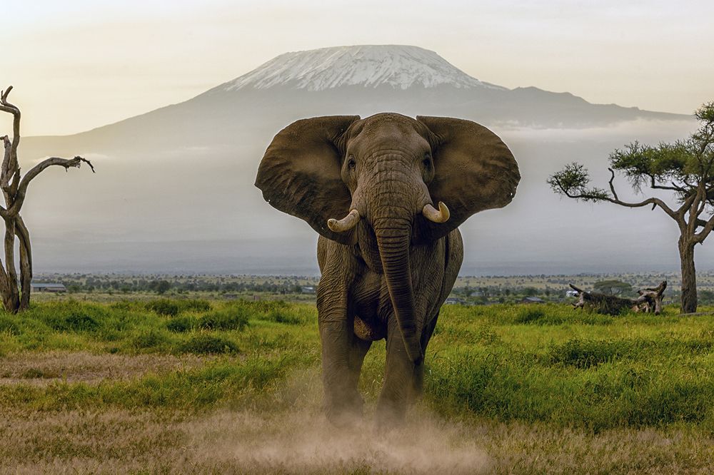 Photograph by Karthick Sridharan