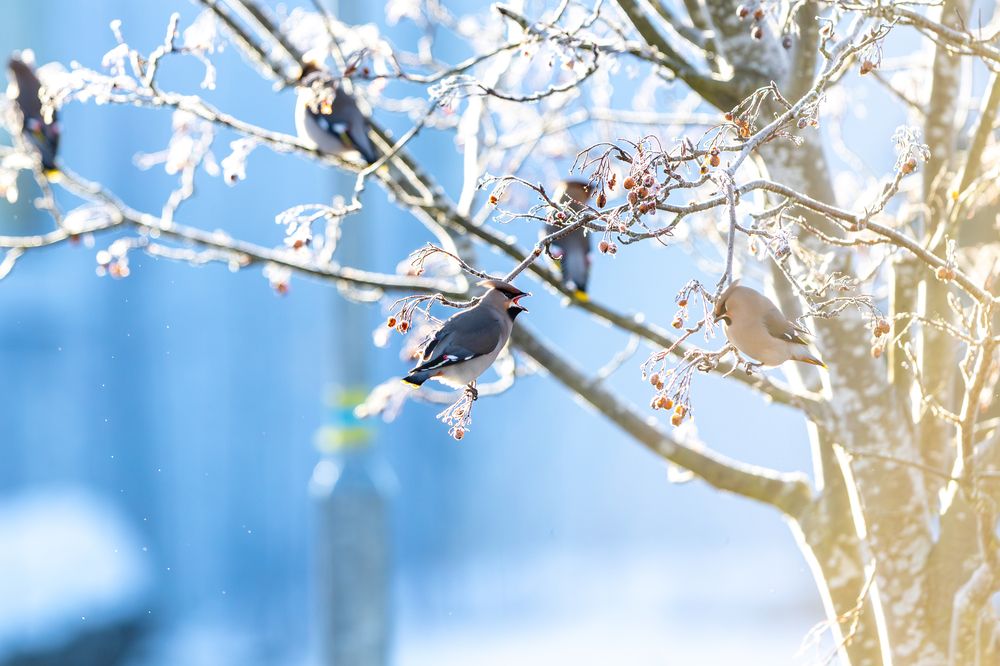 Photograph by Андрей Шабанов