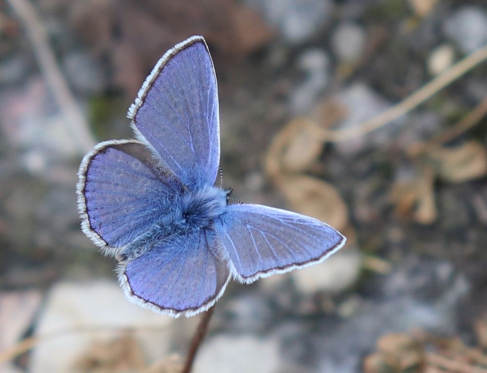 Photograph by Татьяна Пашинцева