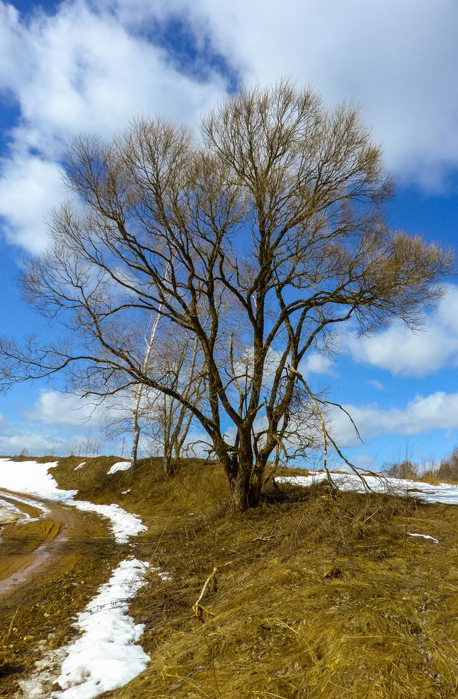 Фотография автора Лидия Киприч