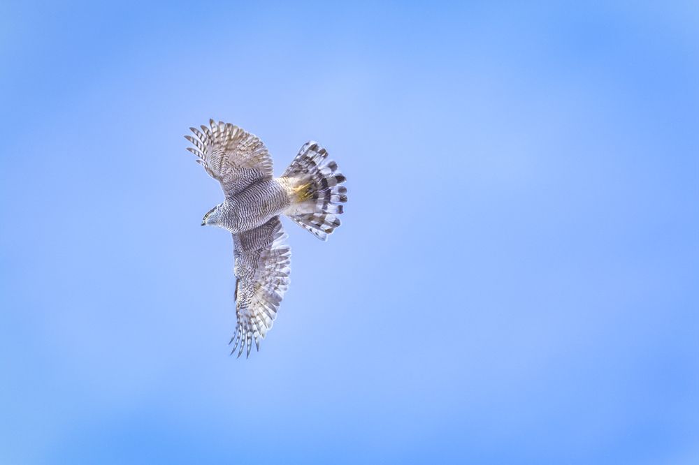 Photograph by Андрей Шабанов