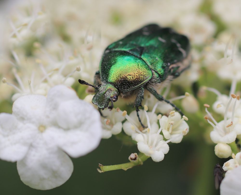 Photograph by Татьяна Пашинцева