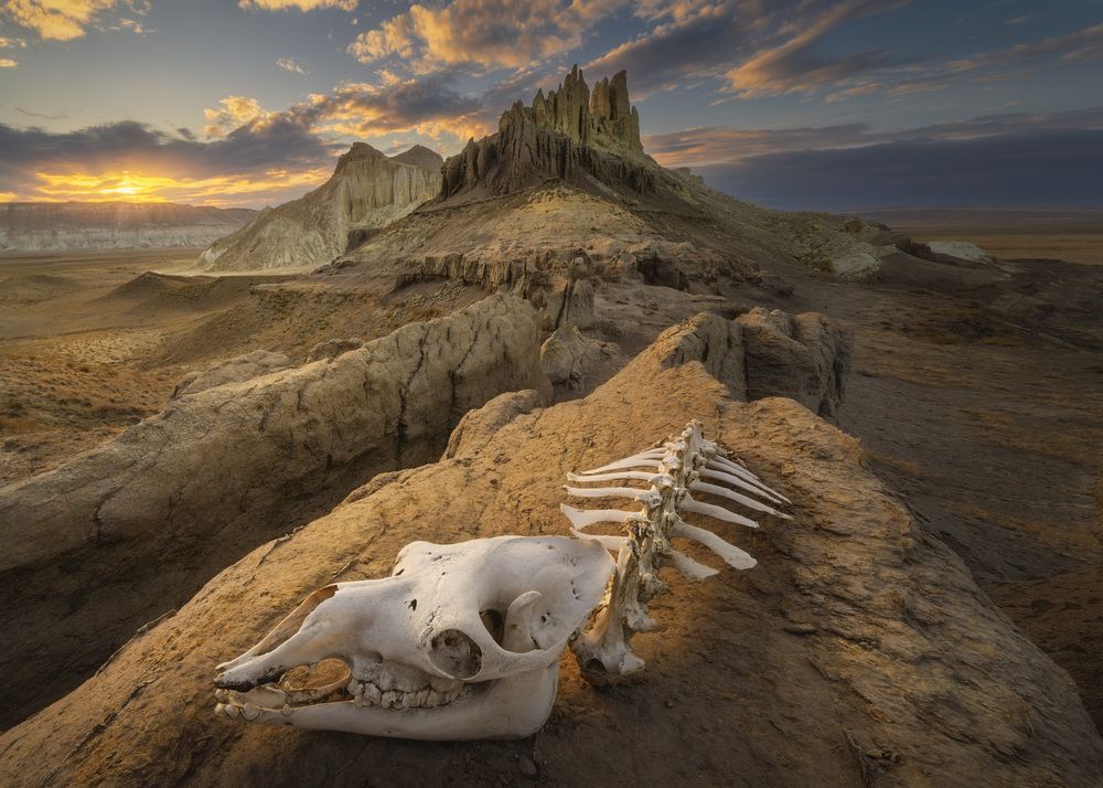 Фотография автора Kozlov Sergey