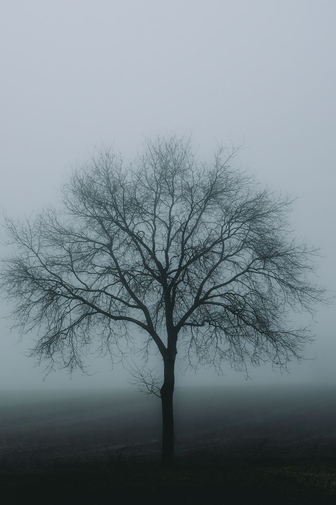 Photograph by Марк Заславець