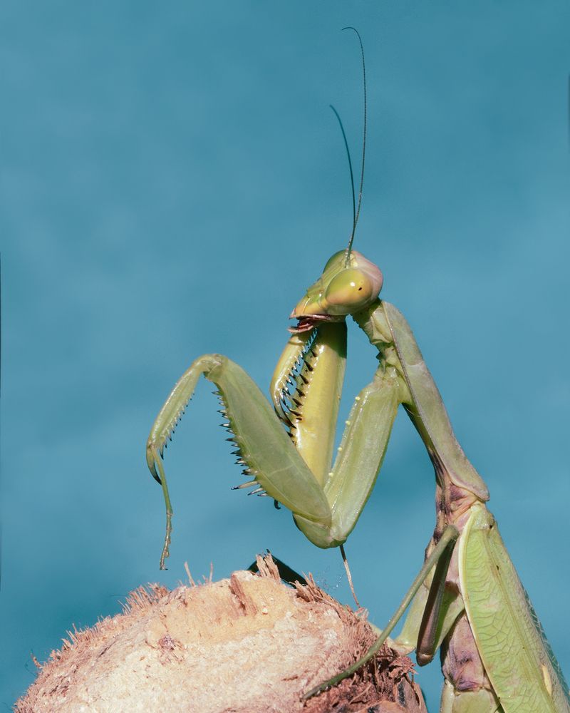 Photograph by Михаил Нижников