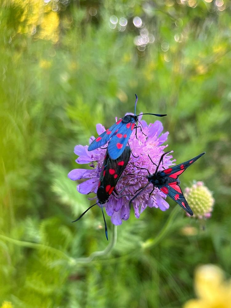 Photograph by Виктория Горельченко