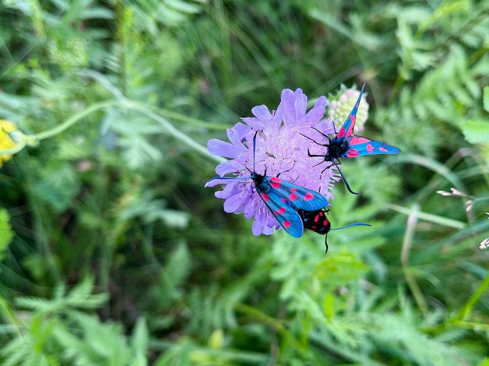 Photograph by Виктория Горельченко