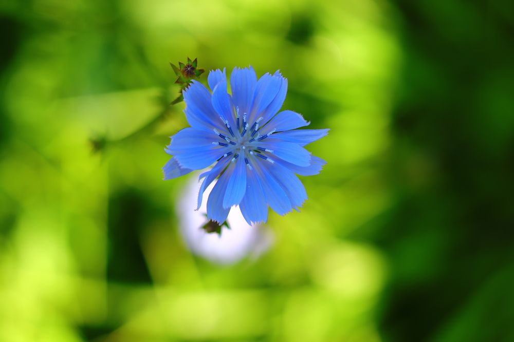Photograph by Родосская Нонна