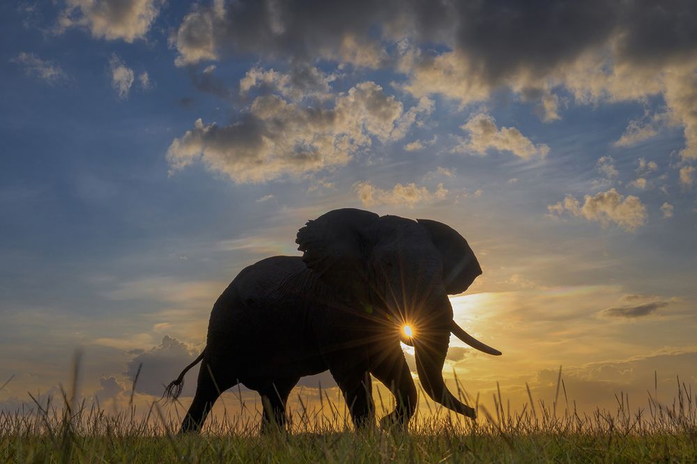 Photograph by Karthick Sridharan