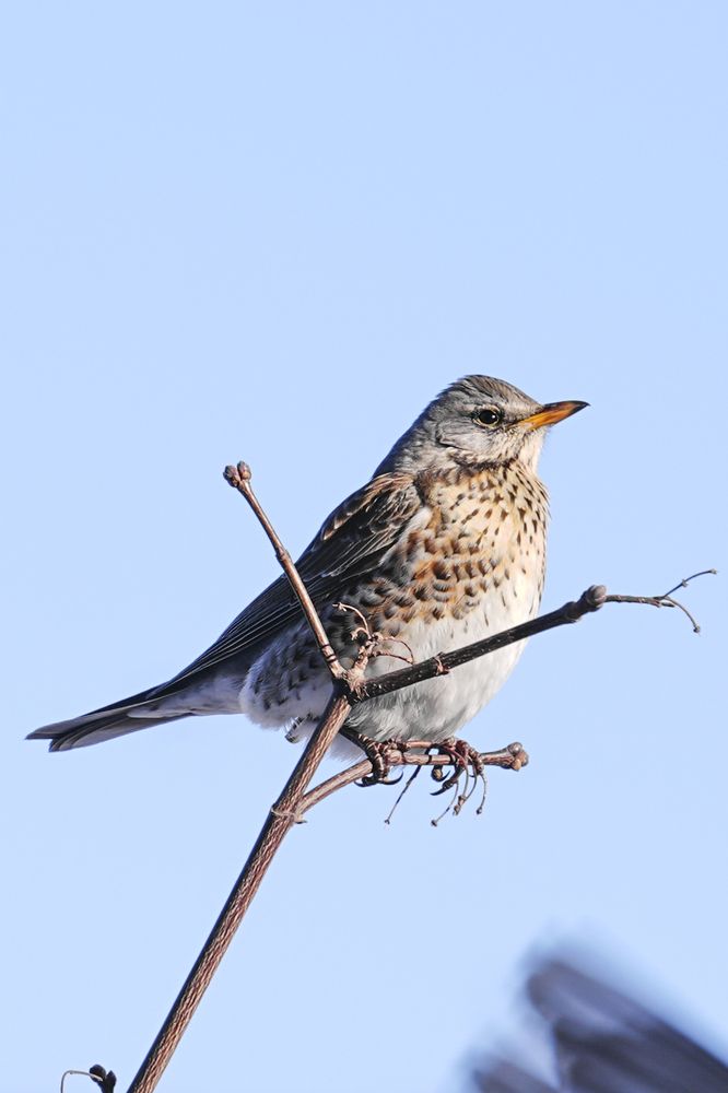 Photograph by Юлия Сухарева