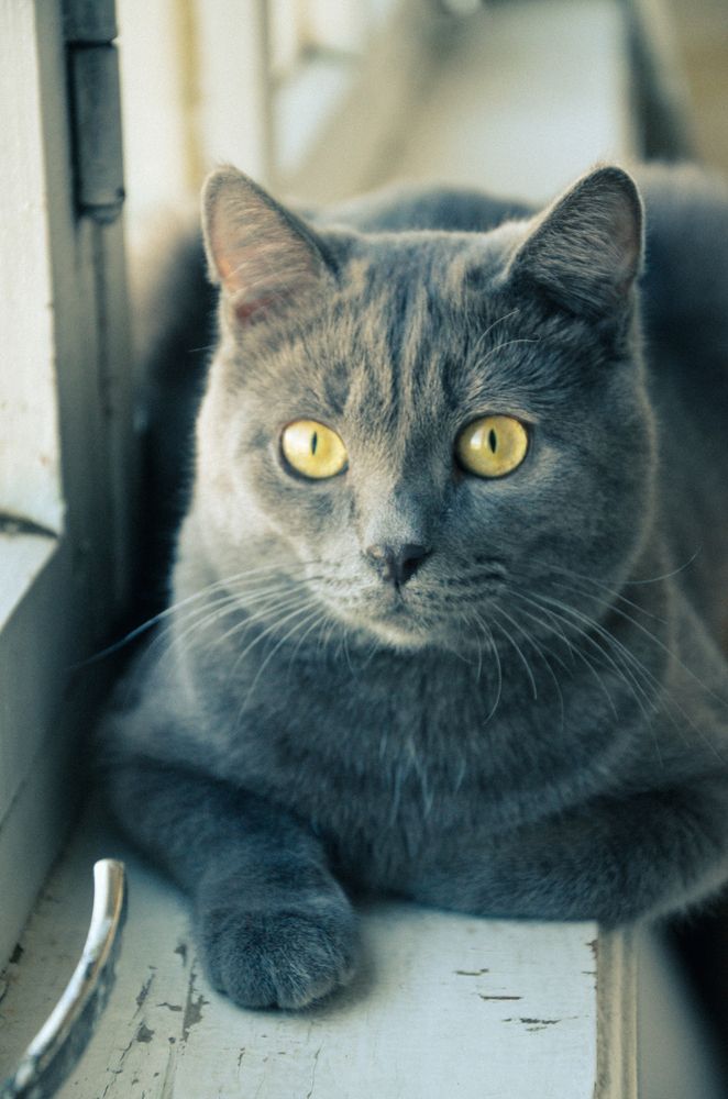 Photograph by Ульяна Бедрицкая