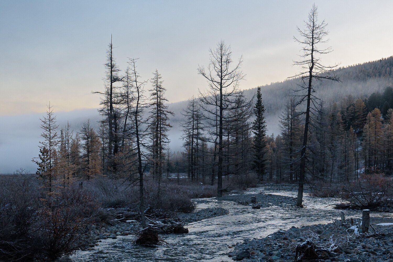 Photo #11976133