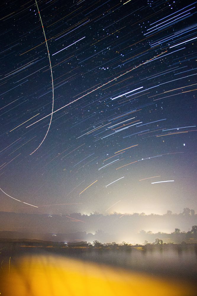 Photograph by Shalini Jain